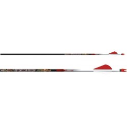 Стрелы Easton CARBON BLOODLINE 480 RED H NOCK AND HP INSERT 2" BLAZER VANES 6/PK