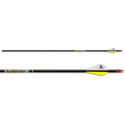 Стрелы Beman CARBON ICS BOWHUNTER 500 2" XPV VANES S-NOCK/CB INSERT 6/PK